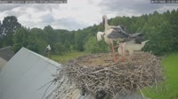 Rudno - Storks