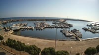 Mola di Bari - Harbour