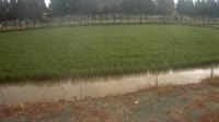 Jurong - Farmland