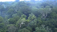 Yangambi Biosphere Reserve