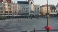 Miniaturka