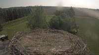 Frankfurt - Lossow - Storks
