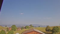 Root - Panoramic view