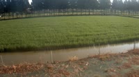 Jurong - Farmland