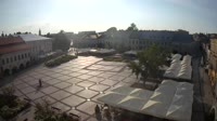 Rynek