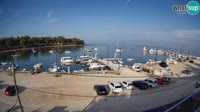 Savudrija - Marina