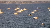 Plouézec - Port Lazo