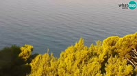 Brela - Panoramic view