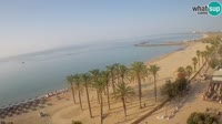 Roses - Beach