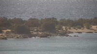 Crete - Gialos - Grammeno Beach