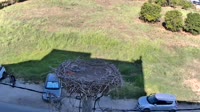 Filippiada - Storks