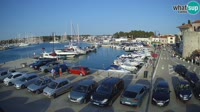 Novigrad - Porporela Marina