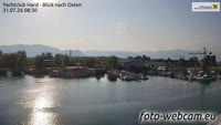 Hard - Harbour
