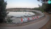 Cittanova - Spiaggia Karpinjan