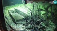 Karlovac - Aquatika Aquarium