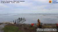Husum - Dockkoog