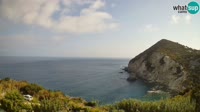 Ponza - Cala Cecata