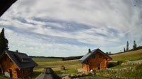 Oberharz am Brocken - Tanne