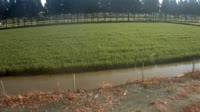 Jurong - Terreno agricolo