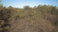 Reserva Especial Beza Mahafaly