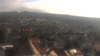 Markdorf - Storks