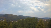 Bad Tabarz - Burgholz