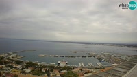 Roses - Porto