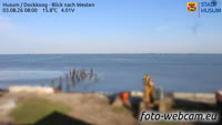 Husum - Dockkoog