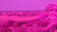 Gran Canaria - Maspalomas - Mirador Dunas