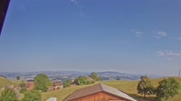 Root - Panorama