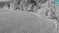 Medvode - Bonovec