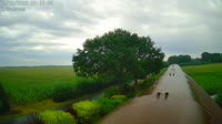 Fredenbeck - Ordenskamp