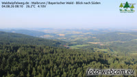 Maibrunn - Waldwipfelweg - Bavarijos miškas
