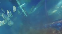 Qawra - Acquario Nazionale di Malta