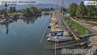 Hard - Zollhafen