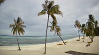 Maamutaa sala