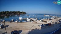 Savudrija - Marina