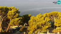 Brela - Bluesun hotel Soline - Vista panoramica