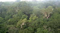 Jangambi biosferos rezervatas