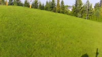 Vignette