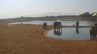 Voi - Tsavo East National Park