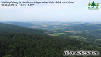 Maibrunn - Waldwipfelweg - Foresta Bavarese