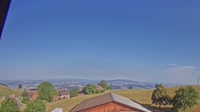 Root - Vista panoramica