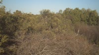 Reserva Especial Beza Mahafaly