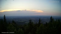 Vignette
