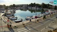 Cittanova - Mandrač