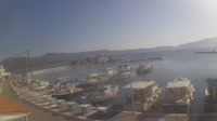 Cervi - Port