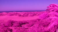 Gran Canaria - Maspalomas - Mirador Dunas