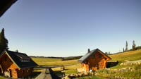 Oberharz am Brocken - Tanne