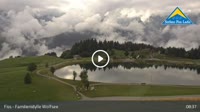 Fiss - Wolfsee